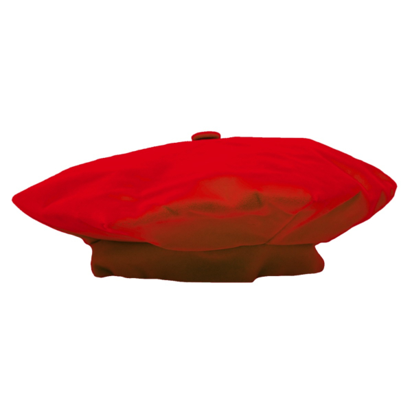 Doctoral Gown, Velvet Tam, Metallic Tassel and Hood