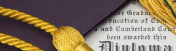 This is default alt image