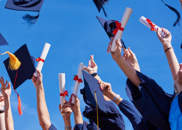 This is default alt image